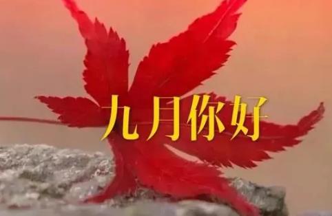 360截图20200830140031967.jpg