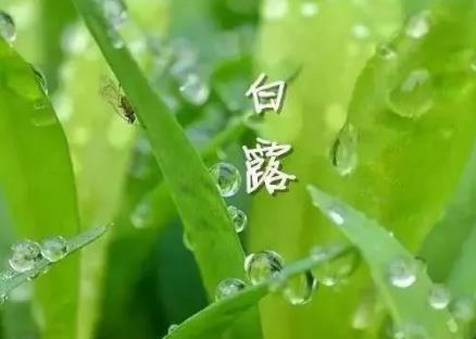 360截图20200907094426204.jpg
