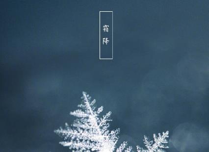 360截图20201015125646974.jpg