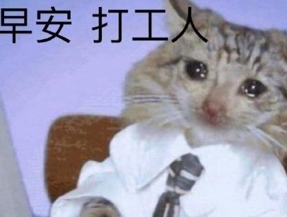 360截图20201016150558695.jpg