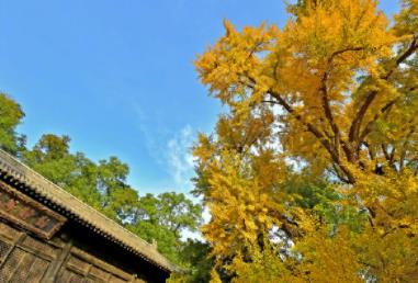 360截图20201030140924292.jpg
