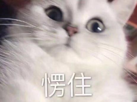 360截图20201113165826861.jpg