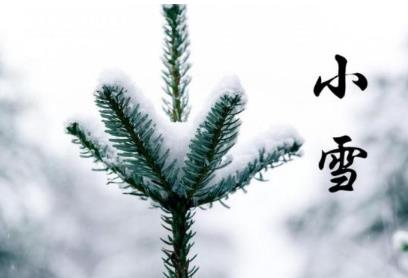 360截图20201116123340553.jpg