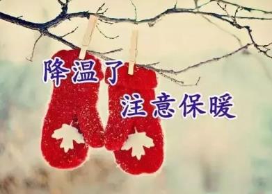 360截图20201124154908708.jpg