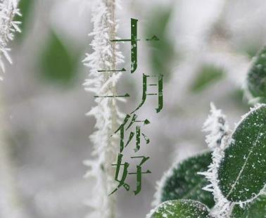 360截图20201124175702810.jpg