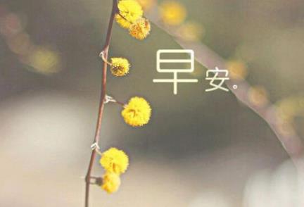 360截图20201130175113310.jpg