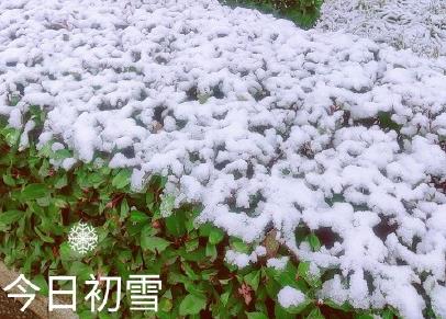 360截图20201202104823682.jpg