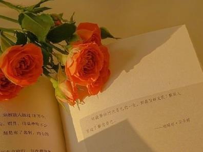 360截图20201211091937217.jpg