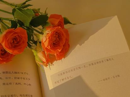 360截图20201221103750029.jpg