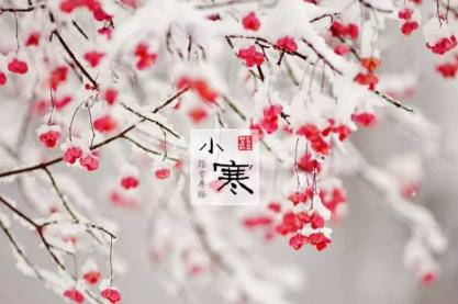 360截图20210103215623101.jpg