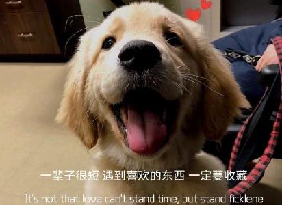 360截图20210126171615847.jpg