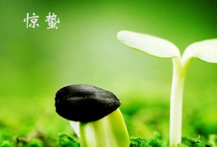 360截图20210301142931937.jpg
