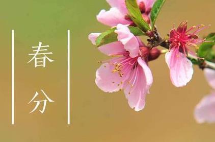 360截图20210316170704120.jpg
