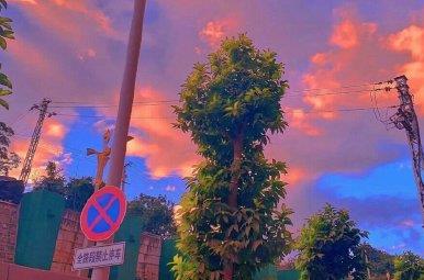 360截图20210319202024138.jpg