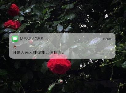 360截图20210321223150355.jpg