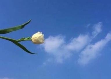 360截图20210414162932140.jpg