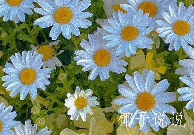 360截图20210426151747795.jpg
