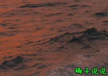 360截图20210426164359472.jpg