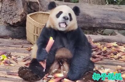 360截图20210427102104121.jpg