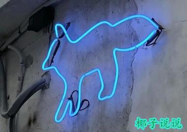 360截图20210428111716648.jpg