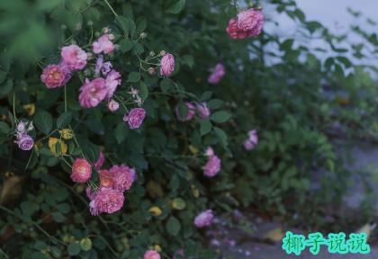 360截图20210428115608467.jpg
