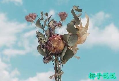 360截图20210430160013169.jpg