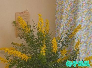 360截图20210511100721766.jpg