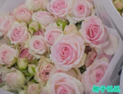 360截图20210518110614910.jpg