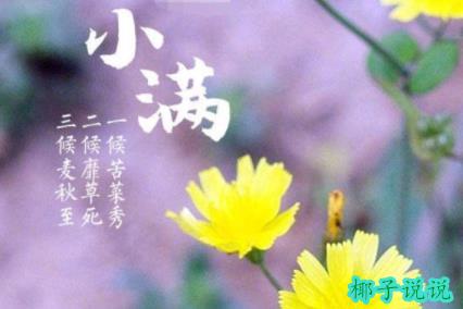 360截图20210521093054175.jpg