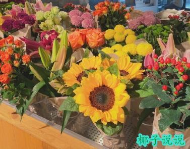 360截图20210526113536605.jpg
