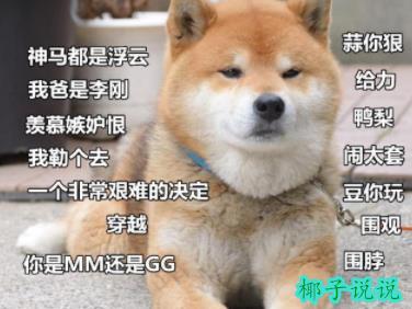 360截图20210527110600968.jpg