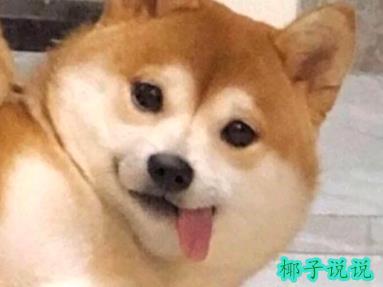 360截图20210531111048825.jpg