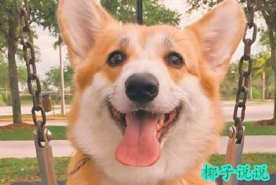 360截图20210603111032119.jpg