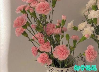 360截图20210613130934209.jpg