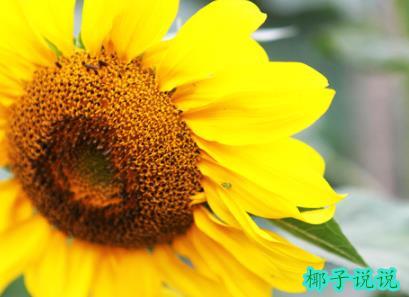 360截图20210623153123075.jpg