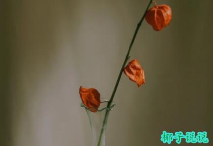 360截图20210625141140062.jpg