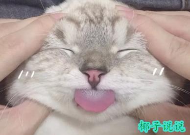 360截图20210628153542288.jpg
