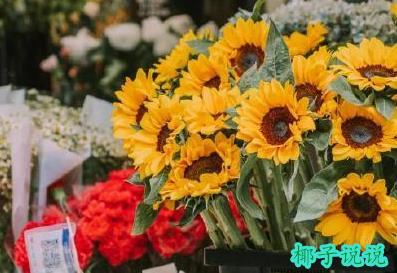 360截图20210628155221047.jpg