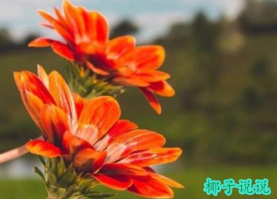 360截图20210701115836692.jpg