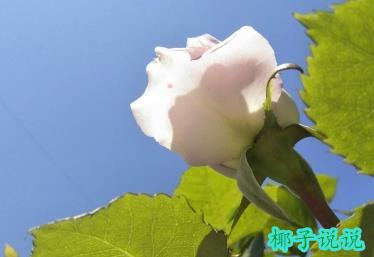 360截图20210707105328133.jpg