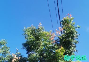 360截图20210719105422361.jpg