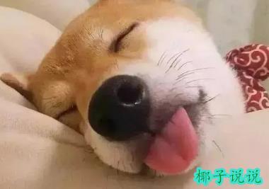360截图20210722140035052.jpg