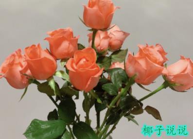 360截图20210723162242851.jpg