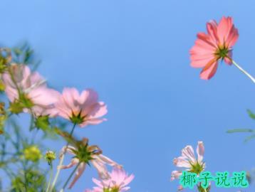 360截图20210726105707517.jpg