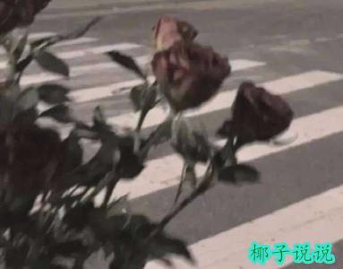 360截图20210809103659545.jpg
