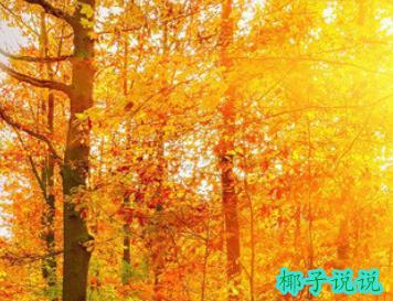 360截图20210816083828866.jpg