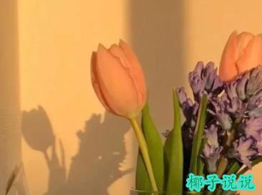 360截图20210817103702464.jpg