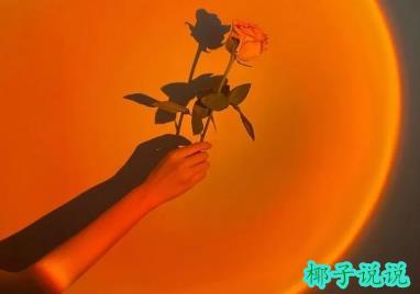360截图20210827142216868.jpg