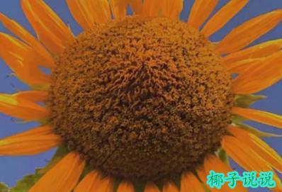 360截图20210830140056741.jpg