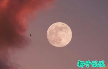 360截图20210830140906725.jpg